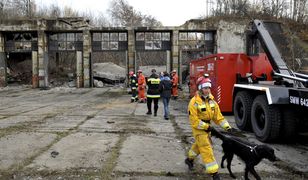 Zawalił się magazyn w Gdyni - w środku mogli być ludzie