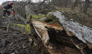 Meteorolodzy ostrzegają: będzie wiało do 100km/godz