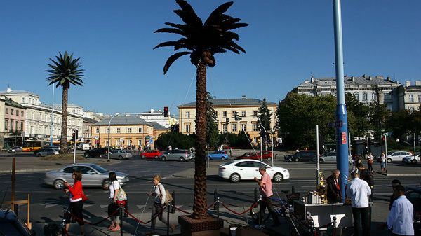 Czekoladowa palma w Warszawie
