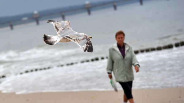 Tłoku na plaży raczej nie będzie