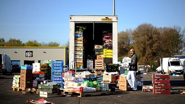 Bez imigrantów brytyjskie farmy będą miały kłopoty