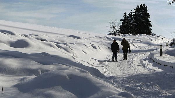 Zasypana śniegiem Ukraina
