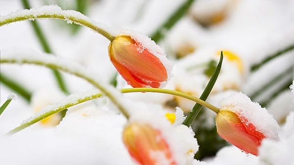 Niespodziewanie wróciła... zima