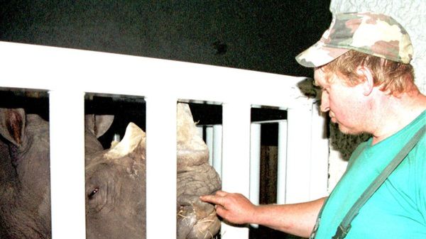 Pidles-Patrys trafił do opolskiego zoo w 2002 roku