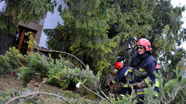 Strażacy usuwają zniszczenia w Zakopanem. Silny wiatr połamał drzewa i zerwał linie energetyczne