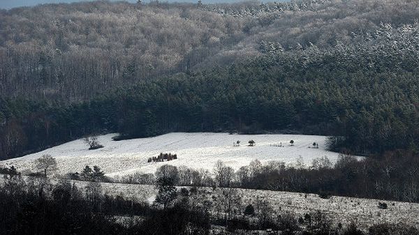 Ośnieżona śródleśna polana widziana z Cisowej na Podkarpaciu. W nocy wystąpiły pierwsze tak obfite w tym sezonie opady śniegu