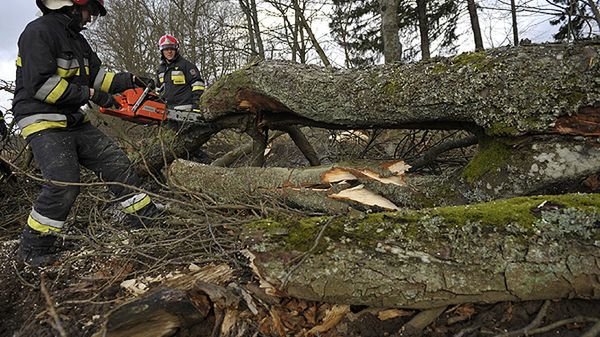 Usuwanie skutków wichur