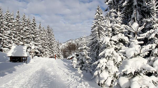 Zimowy krajobraz w rejonie Kuźnic w Zakopanem