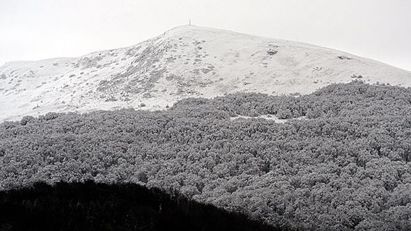 Widok na Tarnicę w Bieszczadach.