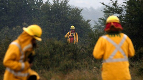 Władze są przekonane, że pożar jest efektem podpalenia