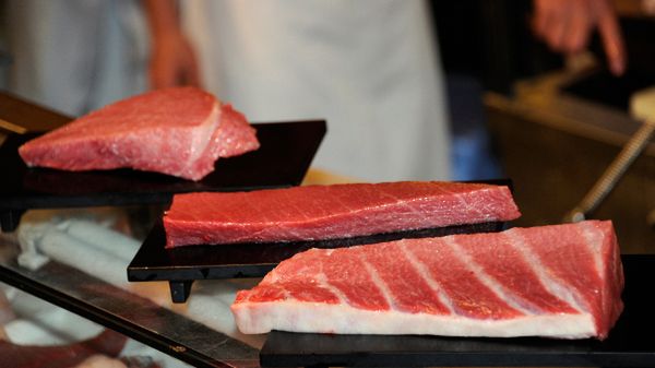 Byli żołnierze będą się uczyć suszi, by zastąpić kucharzy z Azji?