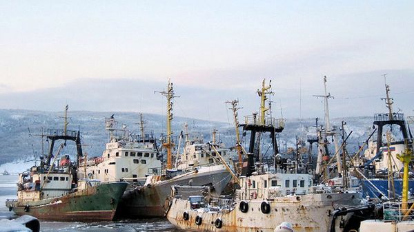 Trawlery w porcie w Murmańsku