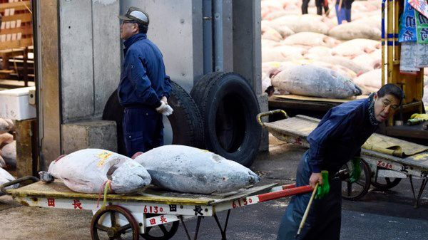 Aukcja odbyła się na tokijskim targu rybnym Tsukiji