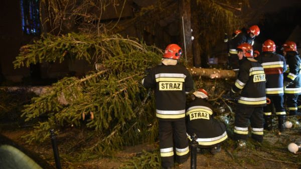 Strażacy usuwają przewróconą przez wiatr choinkę pod Oknem Papieskim w Krakowie