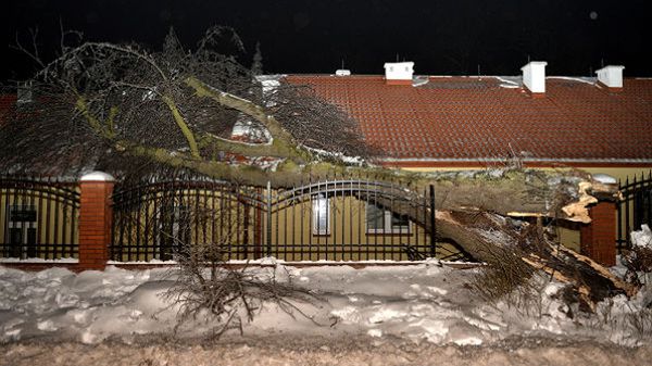 Pod naporem marznącego deszczu drzewo przewróciło się na Dom Pomocy Społecznej w Przemyślu