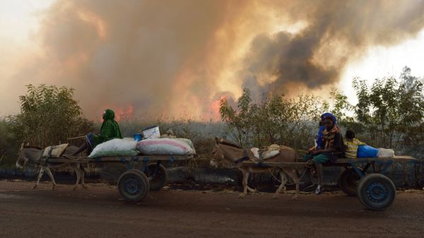 Malijczycy uciekający przed walkami