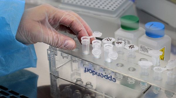 Prace w laboratorium