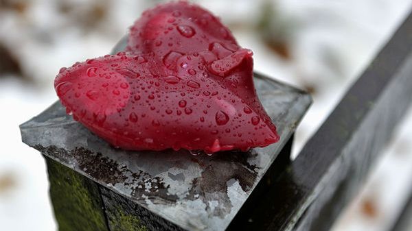 Havel często dorysowywał małe serduszko pod swoim podpisem - symbol miłości i pokoju.