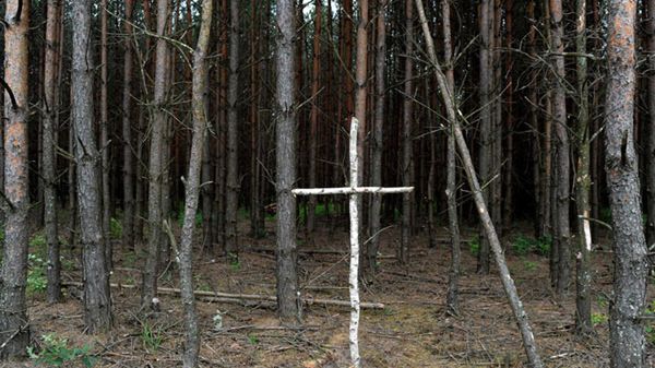 Brzozowy krzyż na skraju lasu przy tzw. trupim polu w rejonie wsi Ostrówki na Ukrainie