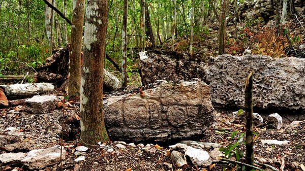 Pozostałości miasta Majów odkryte w Meksyku