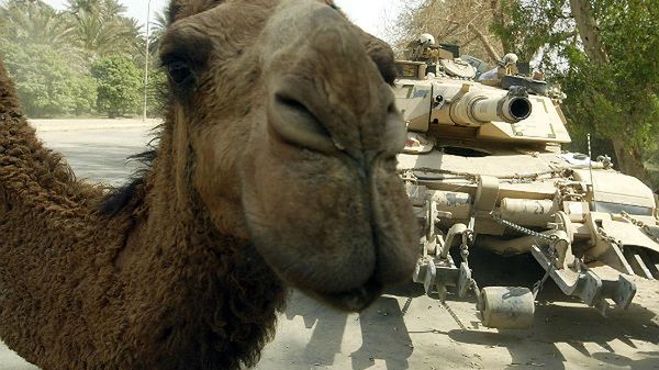 Nie tylko - lecz również - wielbłądom sprostać musiał sprzęt wojskowy na misji