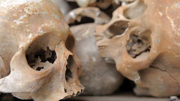 Czaszki znalezione na polach śmierci w Kambodży