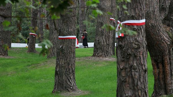 Las w Bykowni pod Kijowem