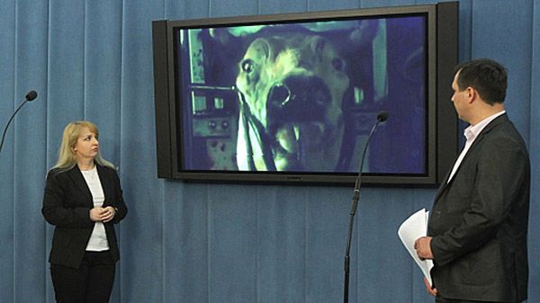 Posłowie Ruchu Palikota Andrzej podczas konferencji prasowej nt. "Stop ubojowi rytualnemu!"