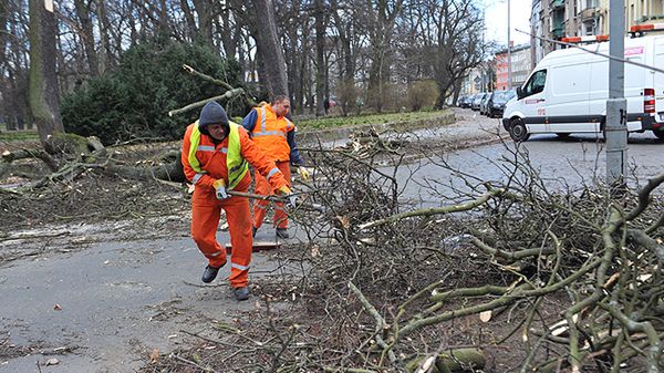 Usuwanie skutków wichury w woj. zachodniopomorskim