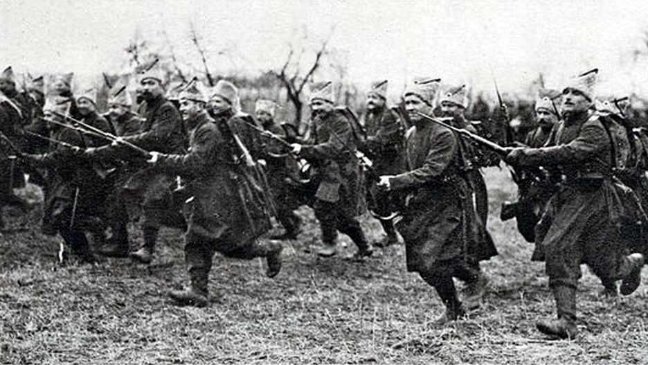 1. Dywizja Ukraińska sformowana wiosną 1918 r.