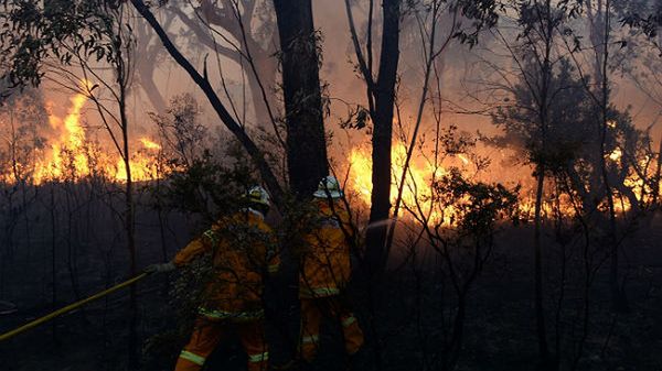 Pożar buszu w Australii