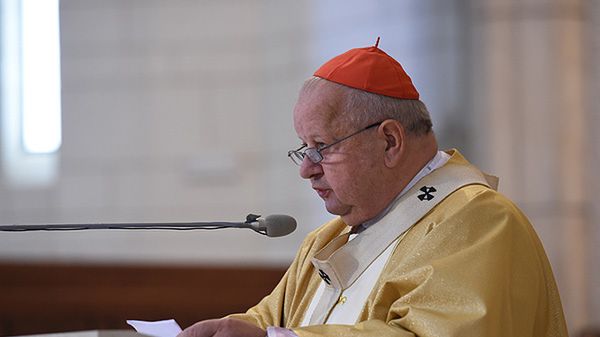 Kard. Stanisław Dziwisz