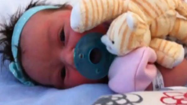 Dziewczynka została odnaleziona cała i zdrowa