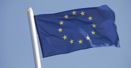 Jadwiga Staniszkis: Europa stanie się patologicznym molochem?