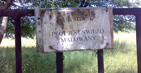 Jaja wielozbożowe i inne śmieszne zdjęcia Internautów