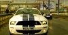 Mustang Shelby GT