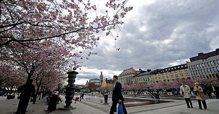 Polacy są trzecią grupą cudzoziemską w Szwecji