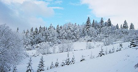 Sylwester w zimowej aurze - sprawdź prognozę