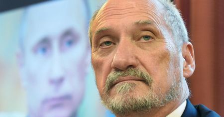 Macierewicz: brzoza nie miała nic wspólnego z tą tragedią