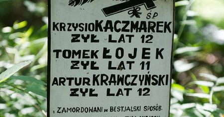 Waldemar Kuczyński: widmo sowieckiej psychuszki