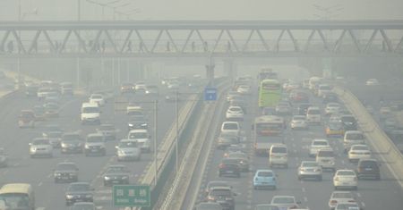 Smog dusi Pekińczyków