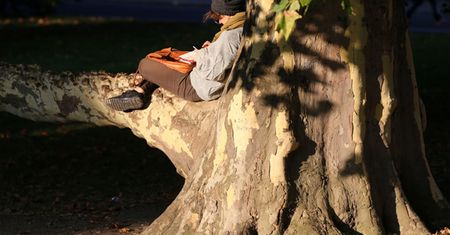 Dużo słońca, ale chłodno - prognoza pogody na 1 i 2 października