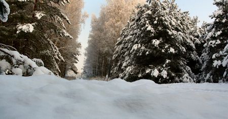 Sypnie śniegiem - prognoza pogody na 5 i 6 grudnia