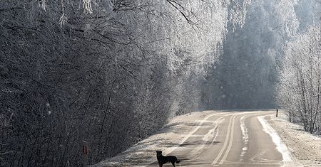 IMGW przestrzega: w nocy będzie ślisko na drogach i chodnikach