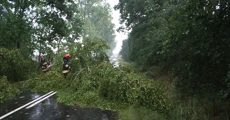 Zalane budynki, złamane drzewa, zerwane linie energetyczne - burze przeszły przez Wielkopolskę