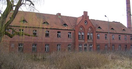 Nowi świadkowie ws. mordowania pacjentów szpitala w Owińskach w 1939 roku