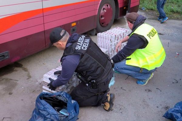 To nie był zwykły autobus. Funkcjonariusze zabezpieczyli kontrabandę