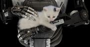 Piraci The Talos Principle uwięzieni w windzie