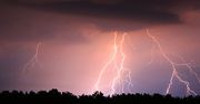 Piorun poraził uczestników pikniku w miejscowości Dabel w Niemczech