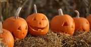 Pochody świętych zamiast Halloween w polskich szkołach